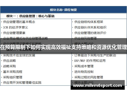 在预算限制下如何实现高效福祉支持策略和资源优化管理